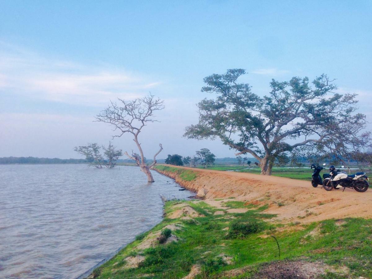 Utopia Arugambay Arugam Bay Zewnętrze zdjęcie